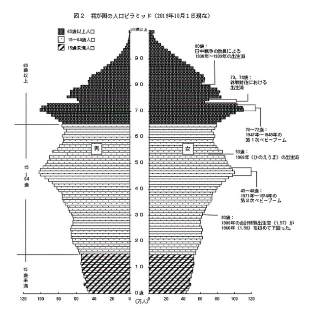 人口ピラミッド2019.jpg